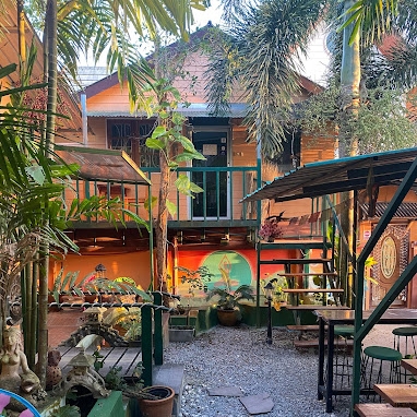 Yoga, Tours, Local Workshops