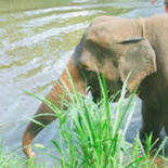 Tours, Wildlife Tours