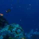 Tours, Scuba Diving, Boat Tours