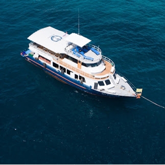 Adventure, Tours, Scuba Diving