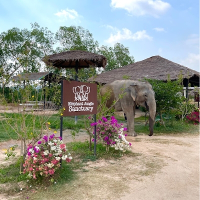 Tours, Wildlife Tours
