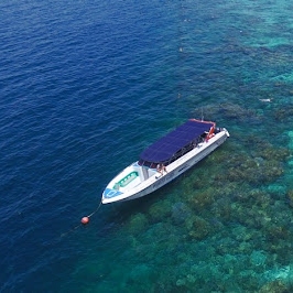 Water Sports, Tours, Scuba Diving