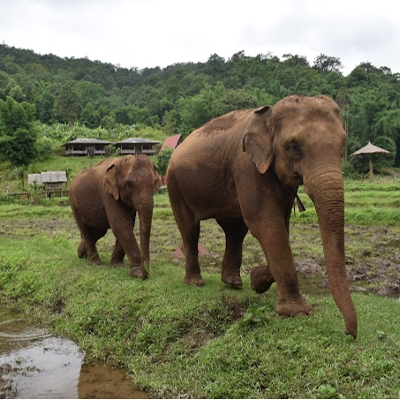 Tours, Wildlife Tours