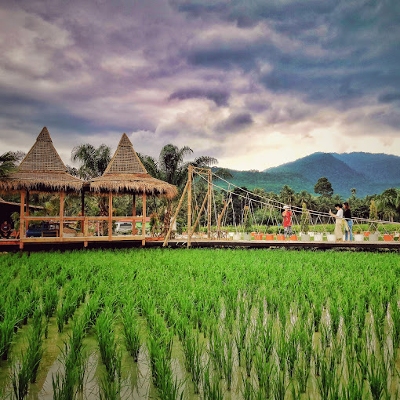 Tours, Sightseeing Tours, Wildlife Tours