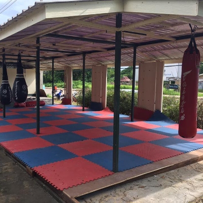 Muay Thai Gym, Shows