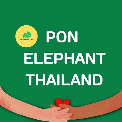 Tours, City Tours, Cultural Tours in Chiang Mai City 