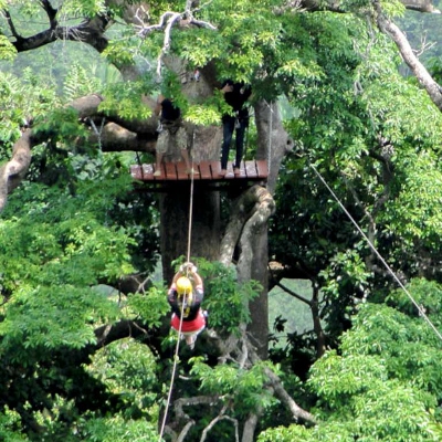 Adventure, Ziplines