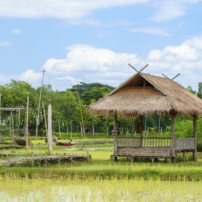 Wildlife Areas