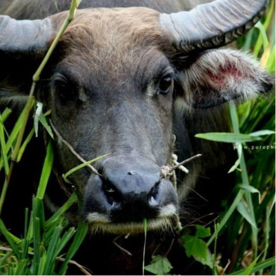 Tours, Wildlife Tours, Hiking Tours