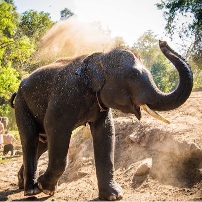 Tours, Wildlife Tours, Hiking Tours