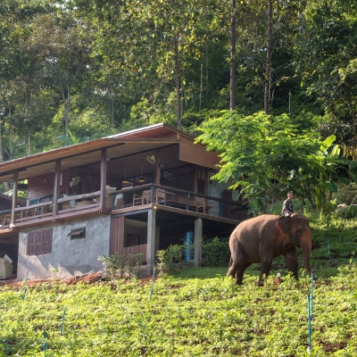 Tours, Wildlife Tours, Day Trips in Chiang Mai City 