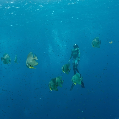 Tours, Boat Tours, Scuba Diving
