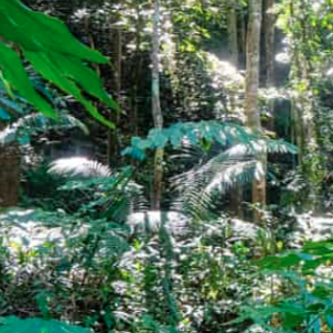 Tours, Multi-Day Tours, Hiking Tours