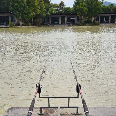 Tours, Fishing Tours