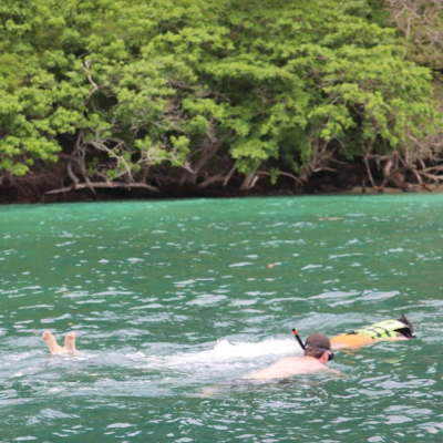 Tours, City Tours, Boat Tours
