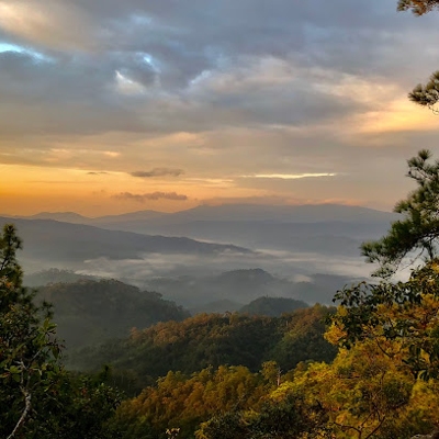 Tours, Walking Tours, Wildlife Tours