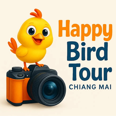 Hiking Trails, Temples, Tours in Chiang Mai City 