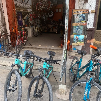 Tours, Bike Tours, Tour Guides