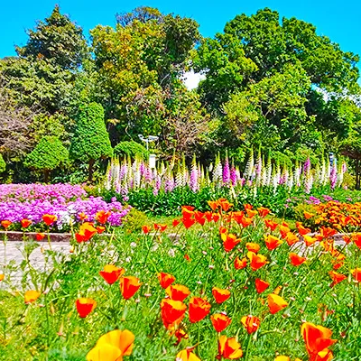 Tours, City Tours, Cultural Tours in Mae Hong Son 