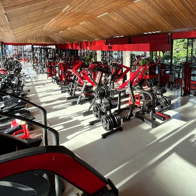 Gyms