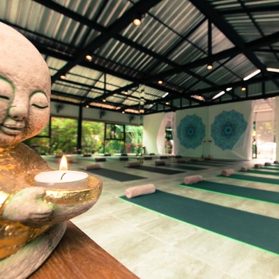 Yoga, Tours, Local Workshops
