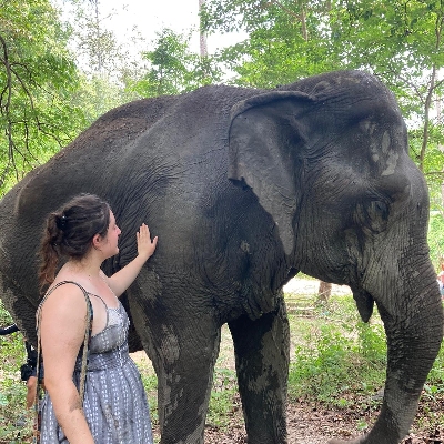 Tours, Wildlife Tours