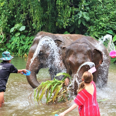 Tours, River Rafting, Wildlife Tours