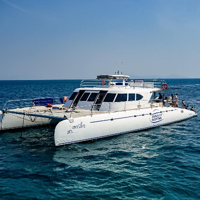 Tours, Boat Tours, Day Trips