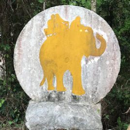 Tours, Sightseeing Tours