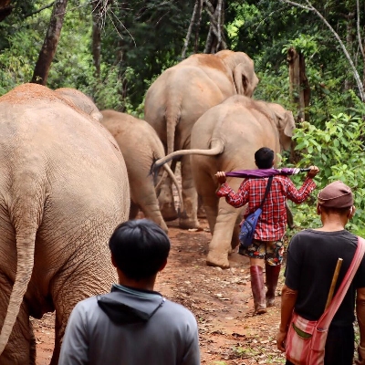 Tours, Wildlife Tours