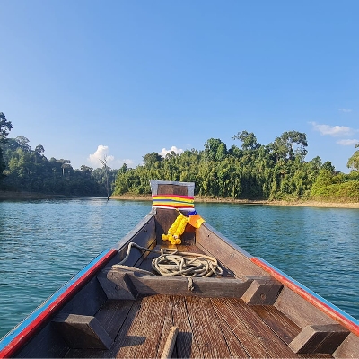 Tours, City Tours, Wildlife Tours