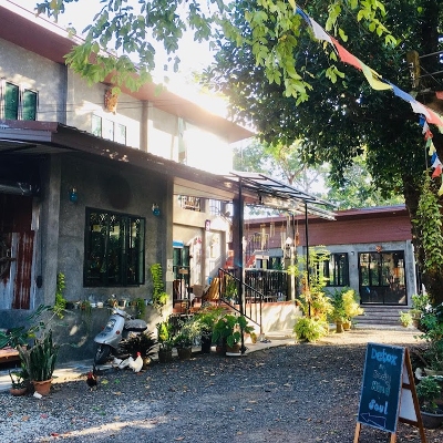 Spas, Thai Massage, Tours