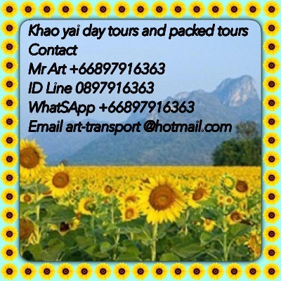 Tours, Tour Guides, Day Trips