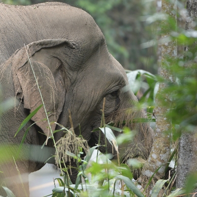 Tours, Multi-Day Tours, Wildlife Tours