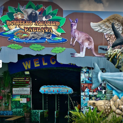 Tours, Walking Tours, Wildlife Tours