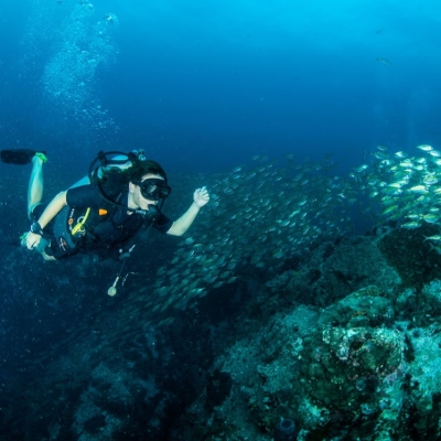 Tours, Scuba Diving