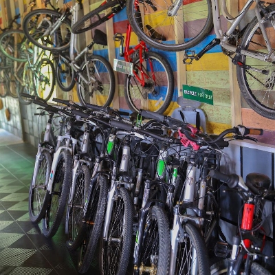 Tours, Bike Tours