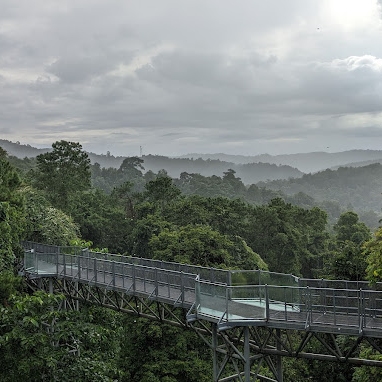 Landmarks, Walking Areas