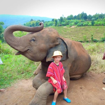 Tours, Wildlife Tours