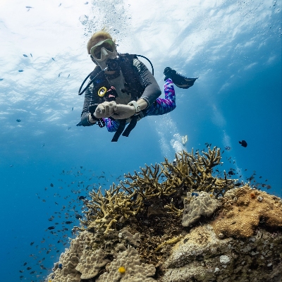 Tours, Scuba Diving, Adventure Tours