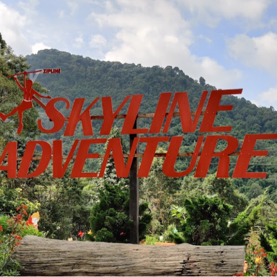 Adventure, Ziplines