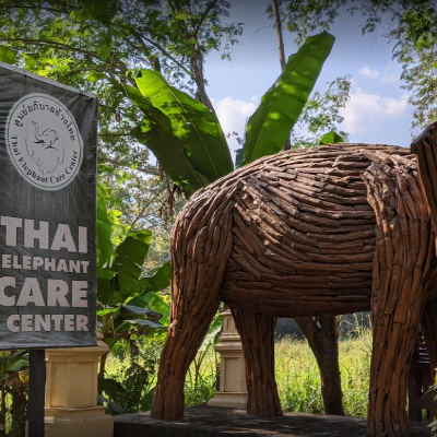 Tours, Wildlife Tours