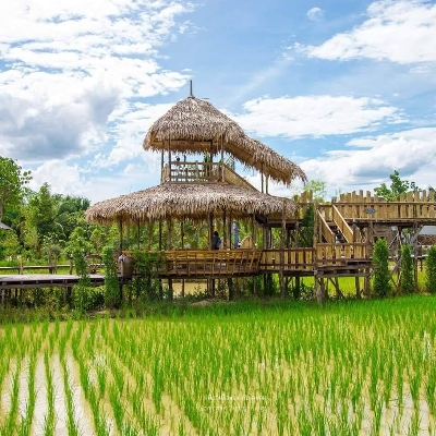 Tours, Cultural Tours, Wildlife Tours