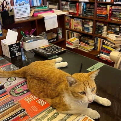 Shopping, Bookstores