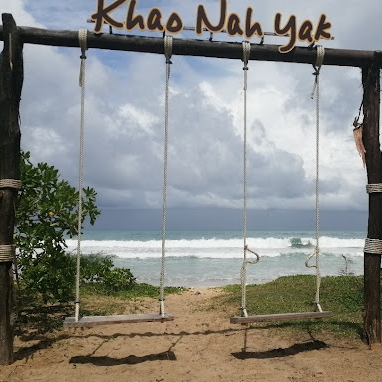 Tours, Tour Guides, Snorkelling